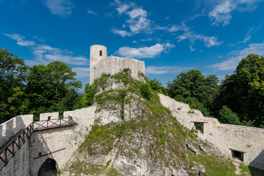 Zamek_Pilcza
