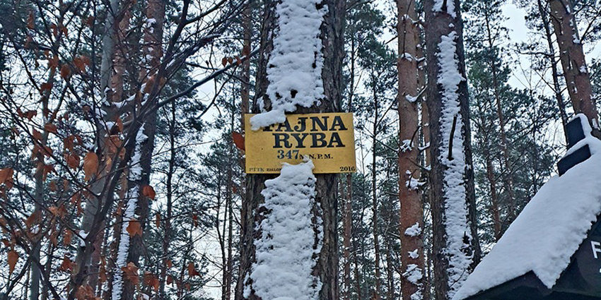 Fajna-Ryba