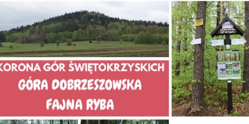 11.06.2023 - Zdobywamy Koronę Gór Świętokrzyskich z PTTK Kielce