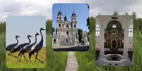 18.05.2024 - Poleski Park Narodowy i Włodawa - miasto trzech kultur