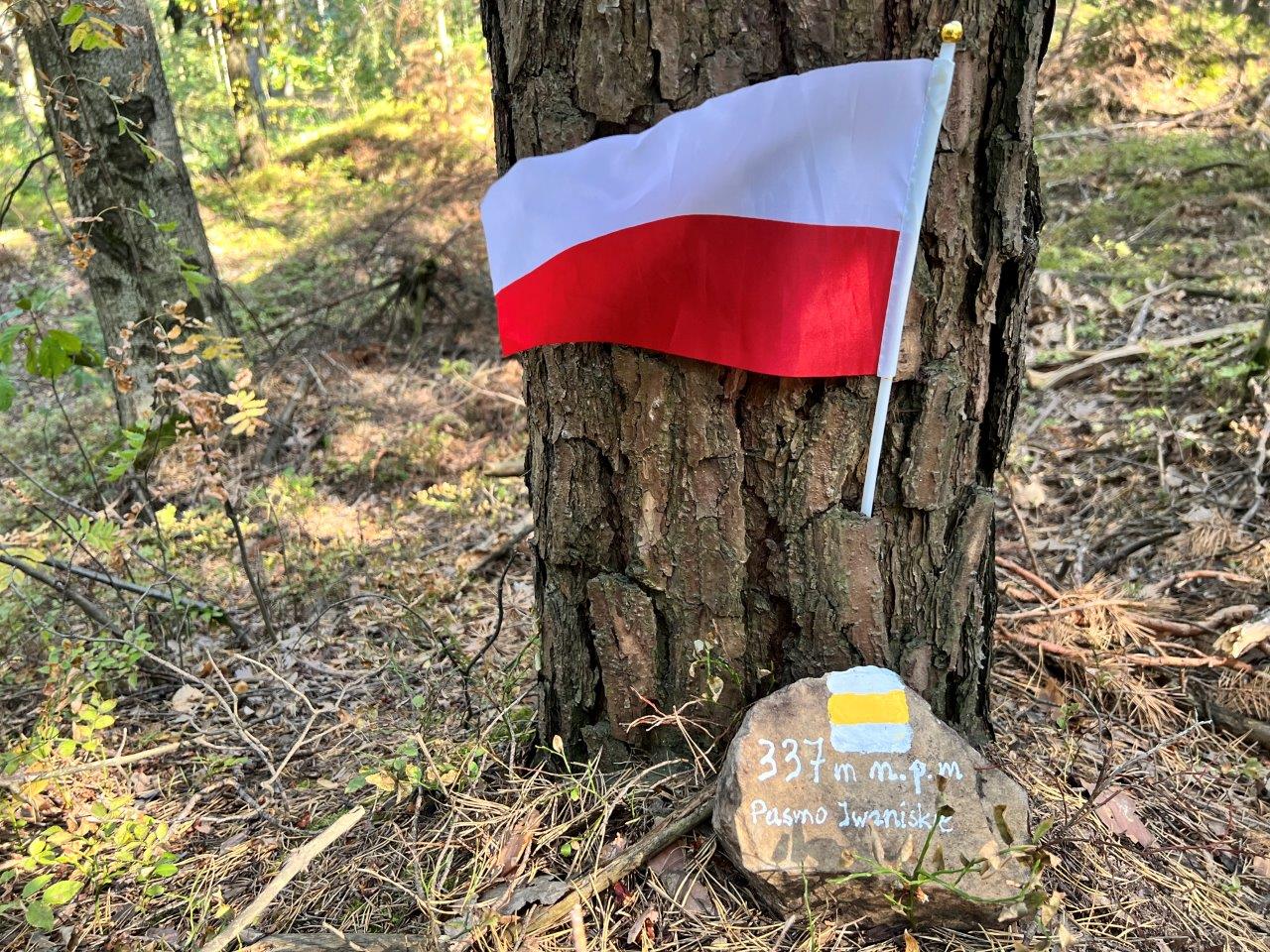 08. Łazy najwyższy punkt w Paśmie Iwaniskim. Fot. Andrzej Jóźwiak
