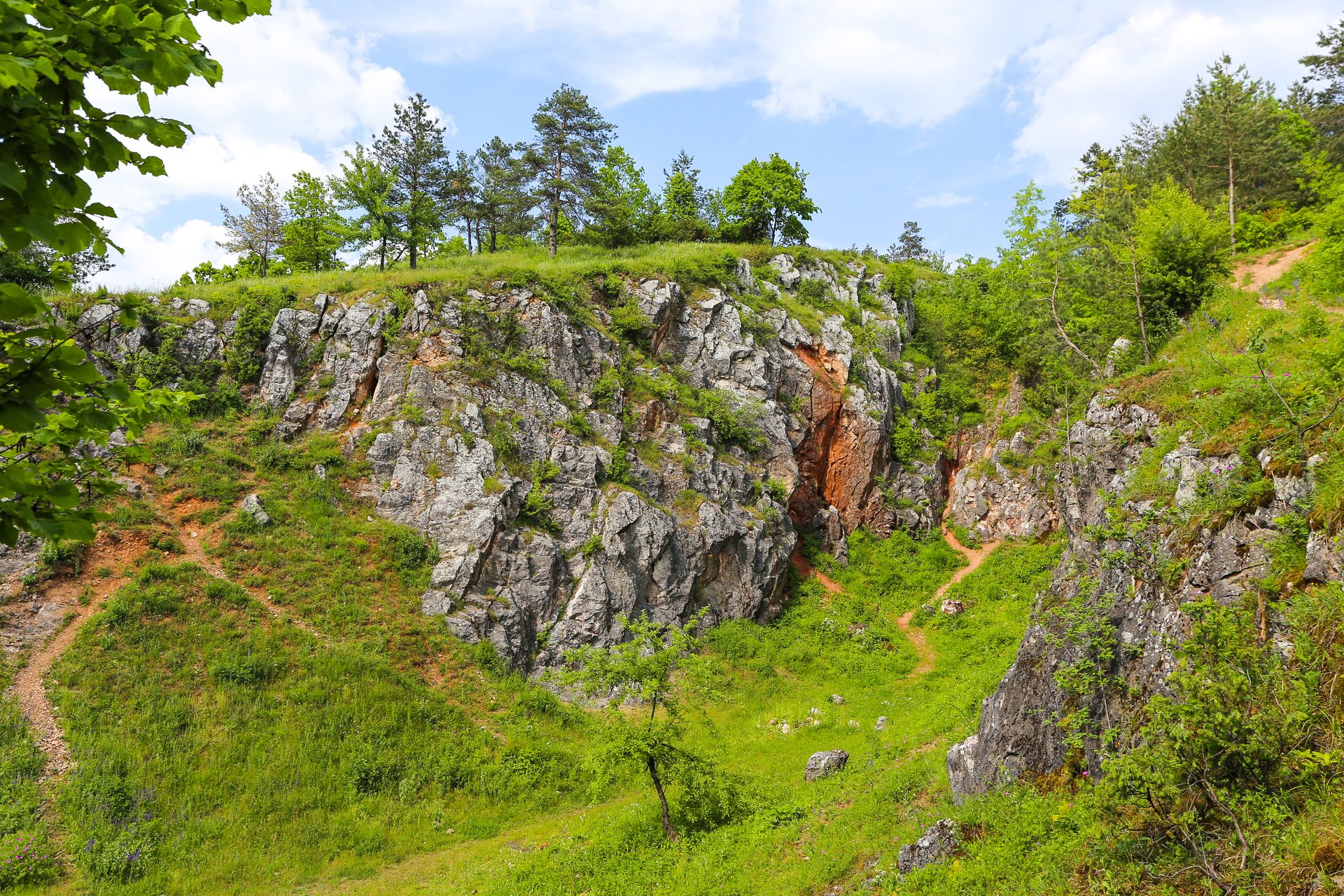 Zelejowa, 29.05.2016 r. Rezerwat przyrody Gora Zelejowa. Fot. Lukasz Zarzycki / www.lukaszzarzycki.pl / www.geopark.pl